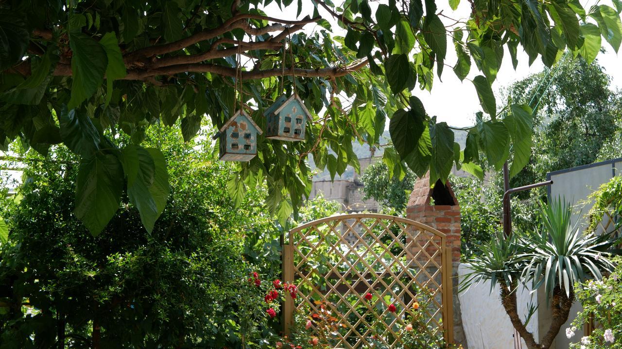 My Garden Otel Tiflis Dış mekan fotoğraf