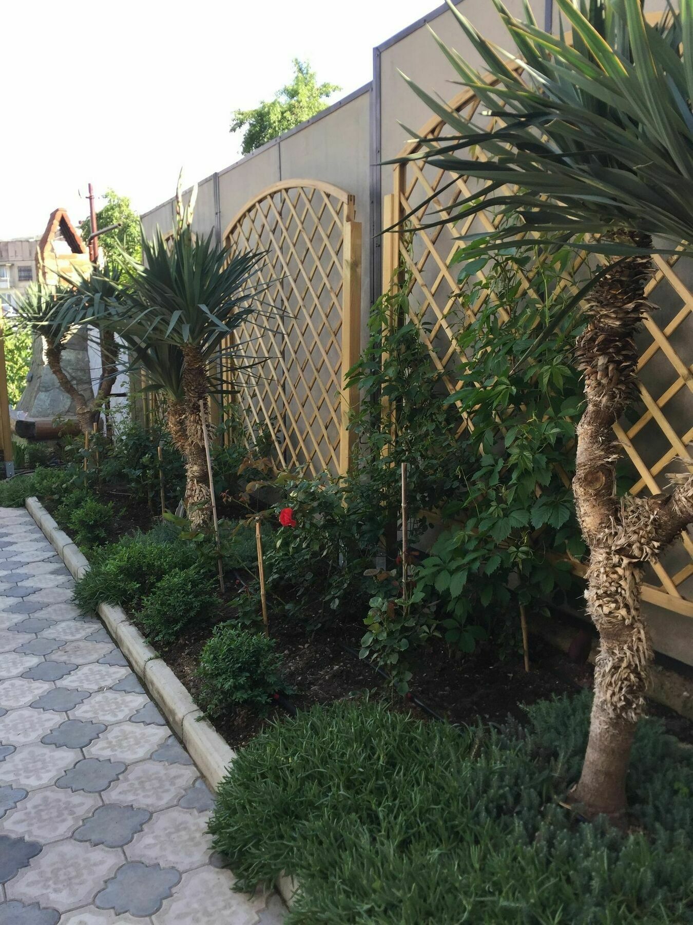 My Garden Otel Tiflis Dış mekan fotoğraf