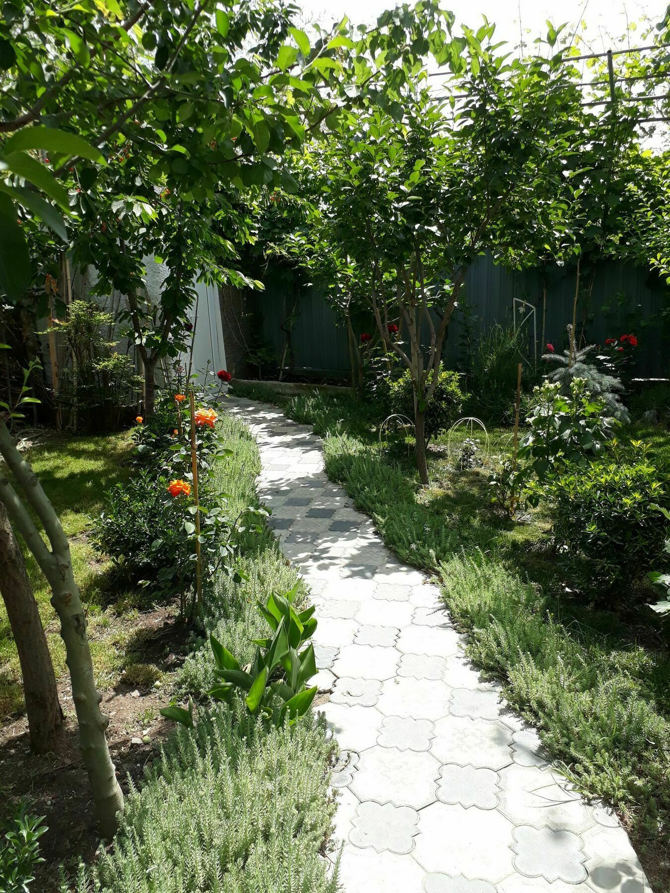 My Garden Otel Tiflis Dış mekan fotoğraf