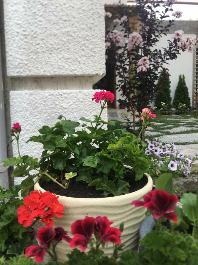 My Garden Otel Tiflis Dış mekan fotoğraf