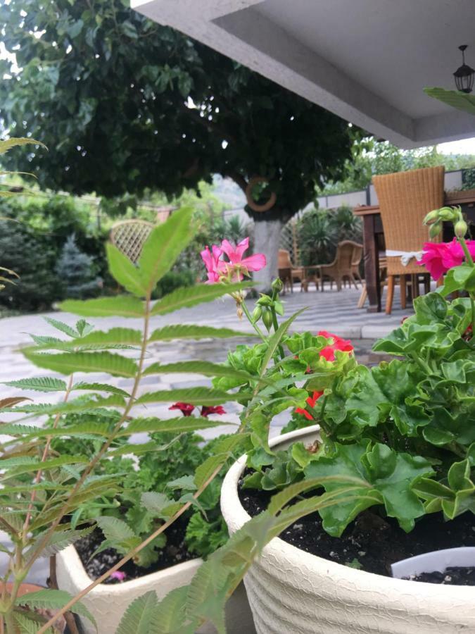 My Garden Otel Tiflis Dış mekan fotoğraf