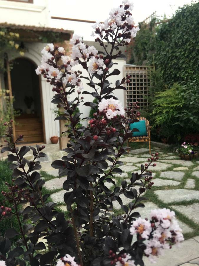 My Garden Otel Tiflis Dış mekan fotoğraf
